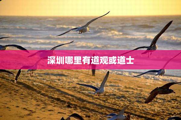 深圳哪里有道观或道士
