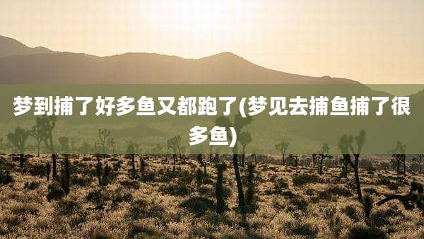 梦到捕了好多鱼又都跑了(梦见去捕鱼捕了很多鱼)