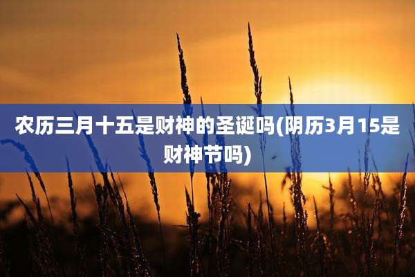 农历三月十五是财神的圣诞吗(阴历3月15是财神节吗)