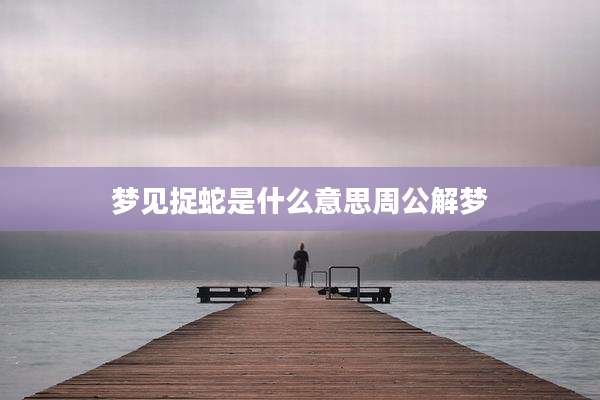 梦见捉蛇是什么意思周公解梦