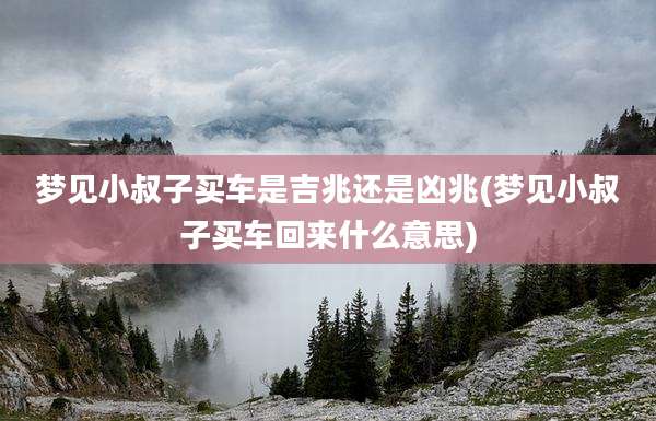 梦见小叔子买车是吉兆还是凶兆(梦见小叔子买车回来什么意思)