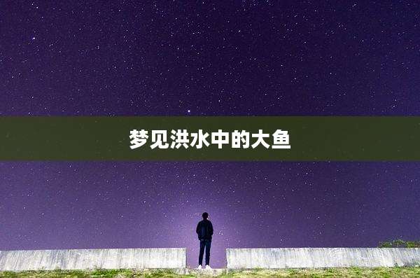 梦见洪水中的大鱼