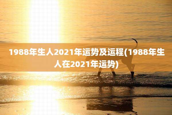 1988年生人2021年运势及运程(1988年生人在2021年运势)
