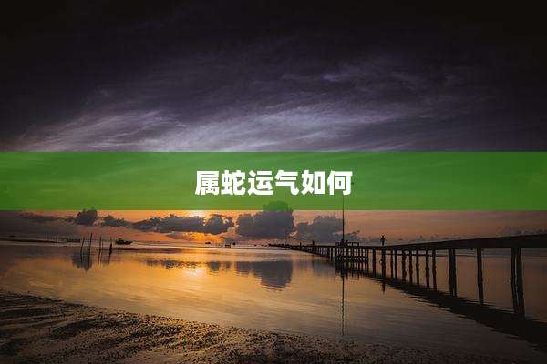 属蛇运气如何