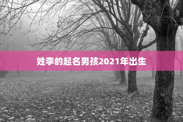 姓李的起名男孩2021年出生