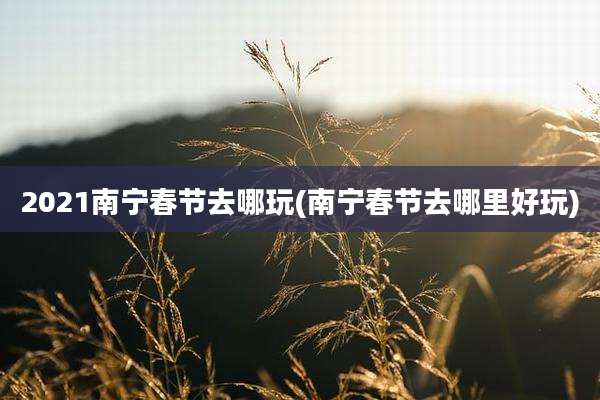 2021南宁春节去哪玩(南宁春节去哪里好玩)