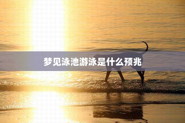 梦见泳池游泳是什么预兆