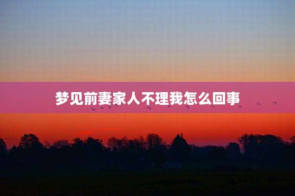 梦见前妻家人不理我怎么回事