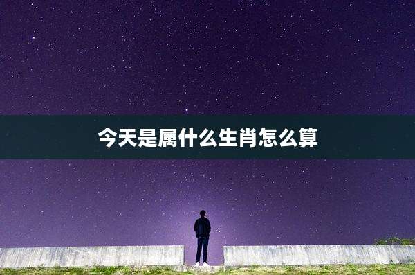 今天是属什么生肖怎么算