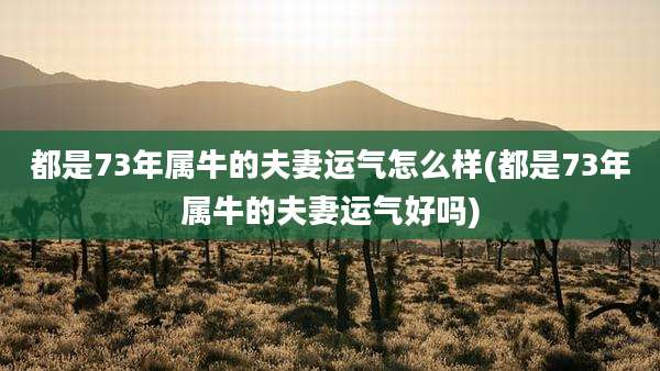都是73年属牛的夫妻运气怎么样(都是73年属牛的夫妻运气好吗)