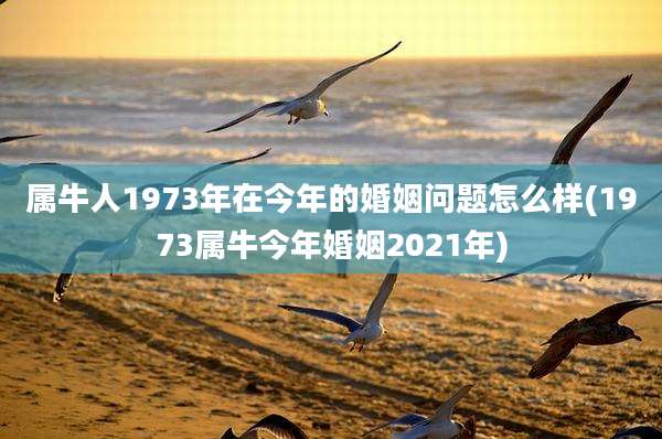 属牛人1973年在今年的婚姻问题怎么样(1973属牛今年婚姻2021年)