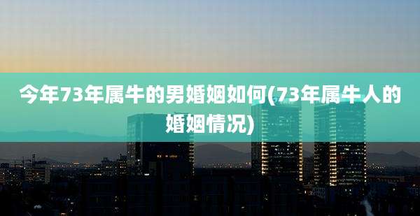 今年73年属牛的男婚姻如何(73年属牛人的婚姻情况)