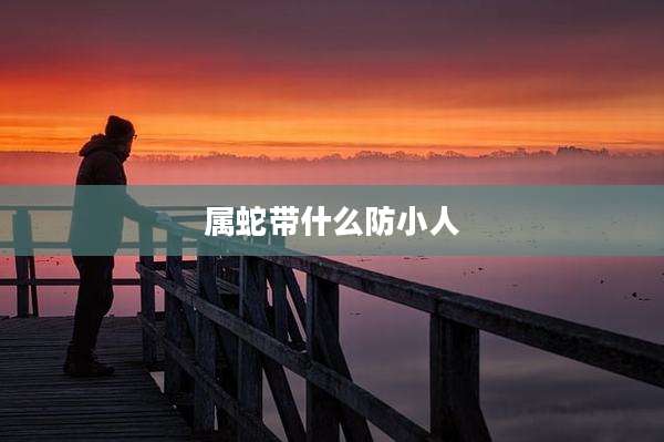 属蛇带什么防小人