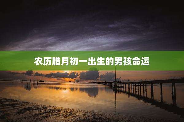 农历腊月初一出生的男孩命运