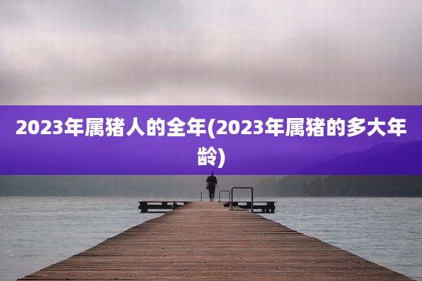 2023年属猪人的全年(2023年属猪的多大年龄)