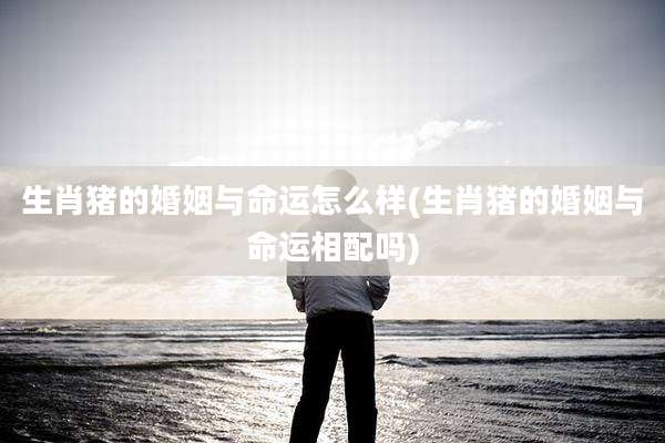 生肖猪的婚姻与命运怎么样(生肖猪的婚姻与命运相配吗)