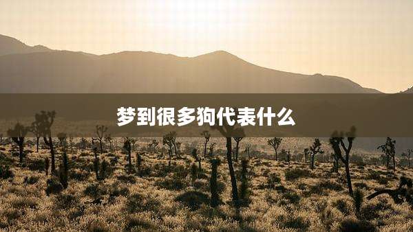 梦到很多狗代表什么