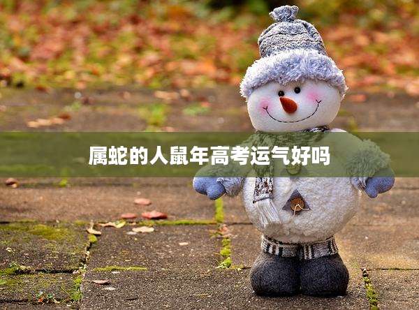 属蛇的人鼠年高考运气好吗