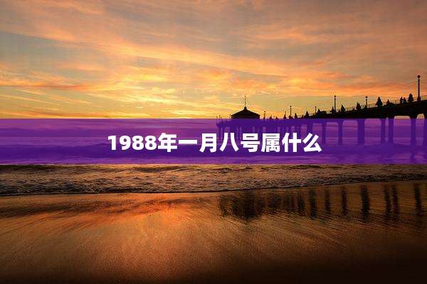 1988年一月八号属什么