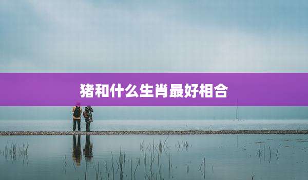 猪和什么生肖最好相合
