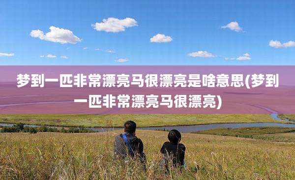 梦到一匹非常漂亮马很漂亮是啥意思(梦到一匹非常漂亮马很漂亮)