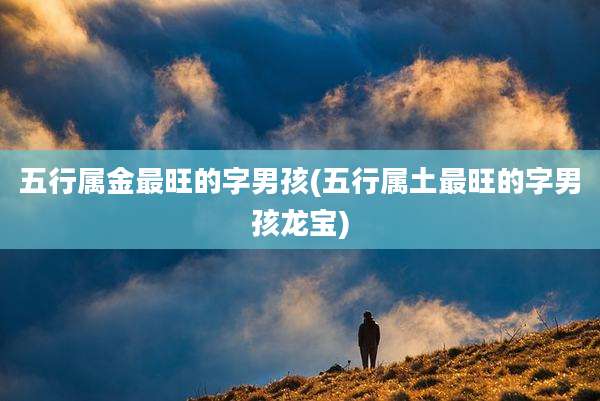 五行属金最旺的字男孩(五行属土最旺的字男孩龙宝)