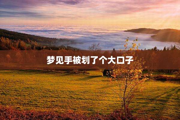 梦见手被划了个大口子