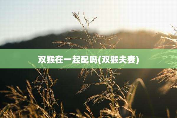 双猴在一起配吗(双猴夫妻)