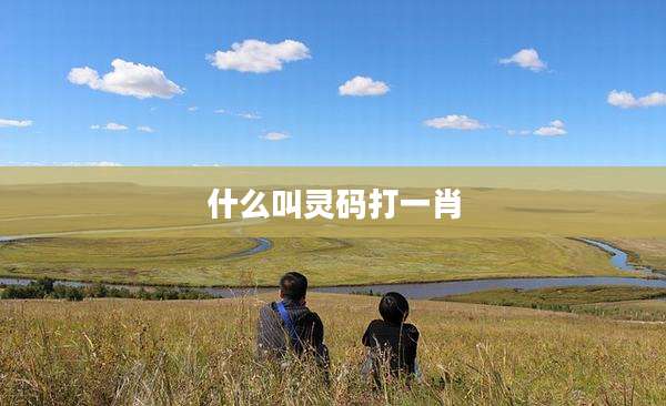 什么叫灵码打一肖