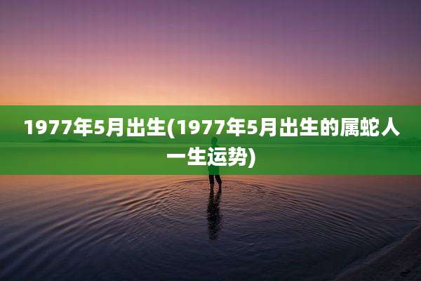 1977年5月出生(1977年5月出生的属蛇人一生运势)