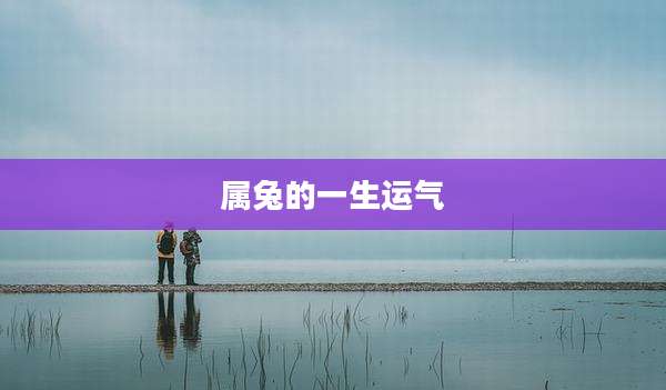 属兔的一生运气
