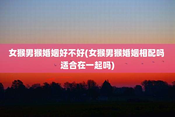 女猴男猴婚姻好不好(女猴男猴婚姻相配吗 适合在一起吗)