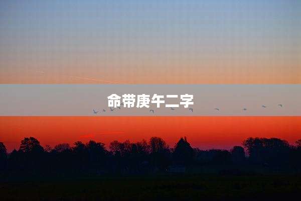 命带庚午二字