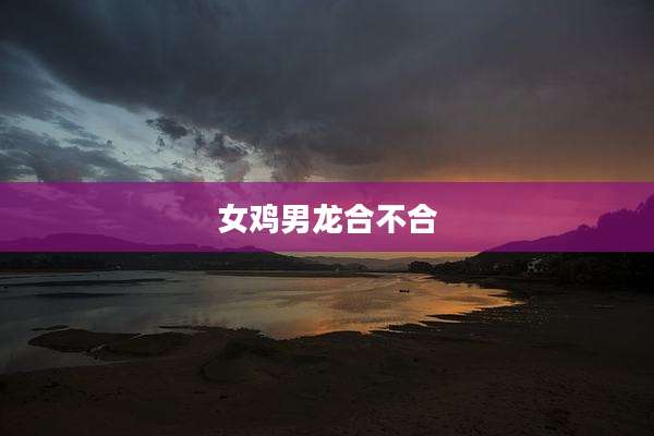 女鸡男龙合不合