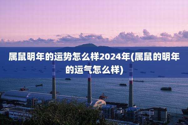 属鼠明年的运势怎么样2024年(属鼠的明年的运气怎么样)