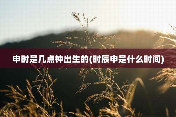申时是几点钟出生的(时辰申是什么时间)