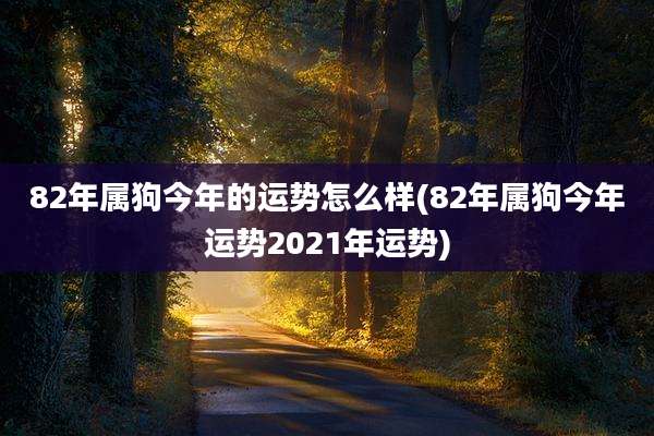 82年属狗今年的运势怎么样(82年属狗今年运势2021年运势)