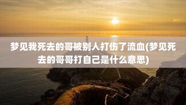 梦见我死去的哥被别人打伤了流血(梦见死去的哥哥打自己是什么意思)
