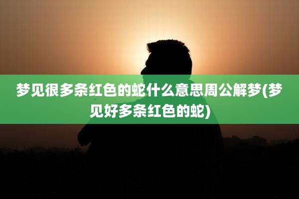 梦见很多条红色的蛇什么意思周公解梦(梦见好多条红色的蛇)