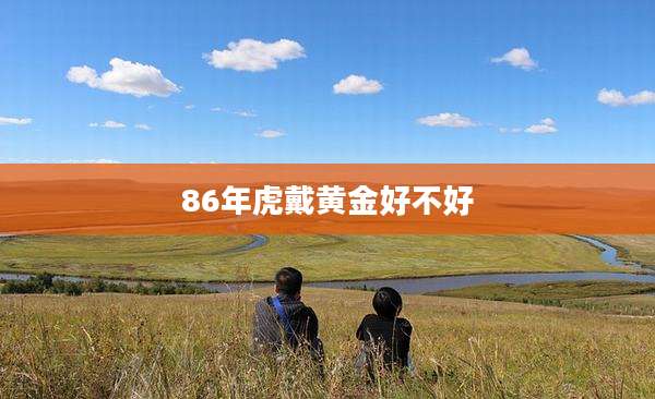 86年虎戴黄金好不好