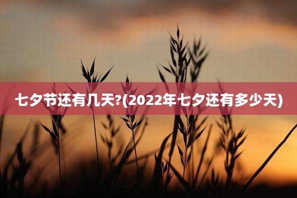 七夕节还有几天?(2022年七夕还有多少天)