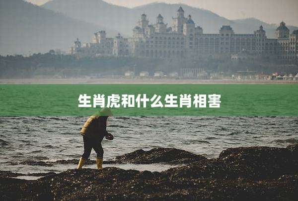生肖虎和什么生肖相害