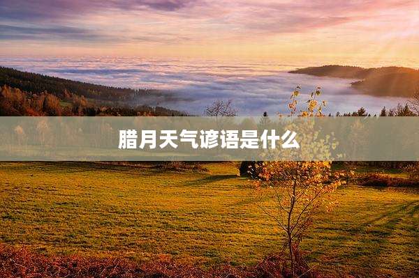 腊月天气谚语是什么