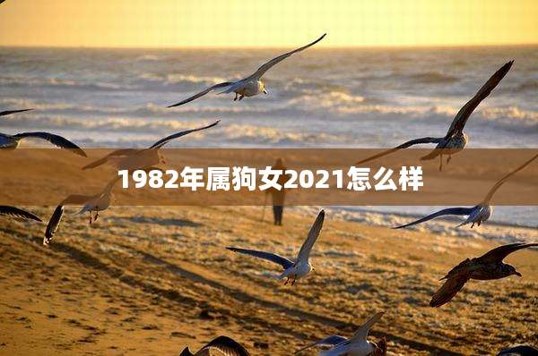 1982年属狗女2021怎么样