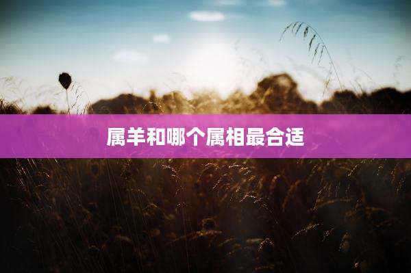 属羊和哪个属相最合适