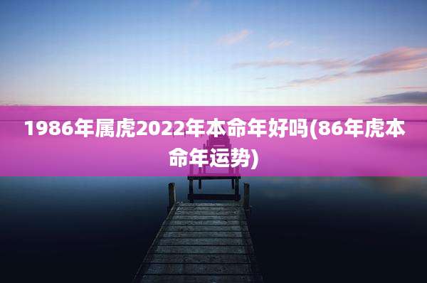 1986年属虎2022年本命年好吗(86年虎本命年运势)