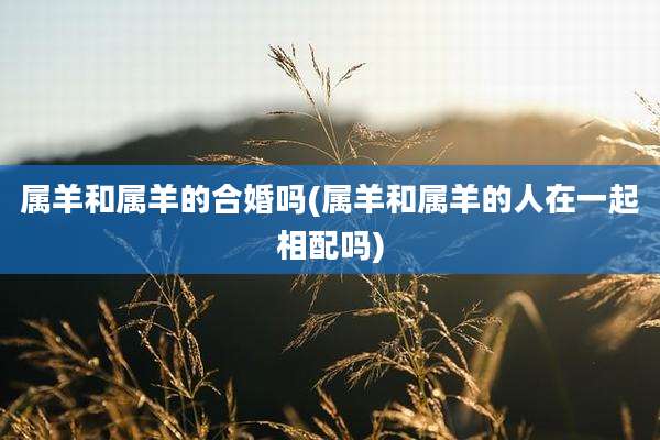 属羊和属羊的合婚吗(属羊和属羊的人在一起相配吗)