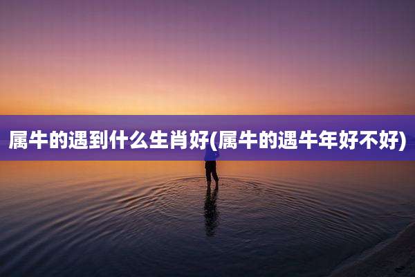 属牛的遇到什么生肖好(属牛的遇牛年好不好)