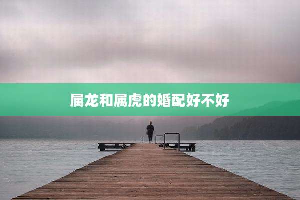 属龙和属虎的婚配好不好