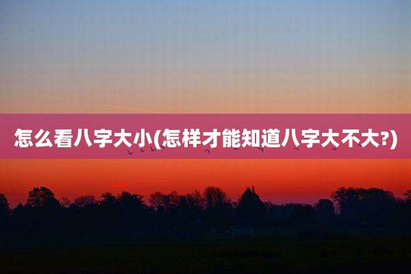 怎么看八字大小(怎样才能知道八字大不大?)